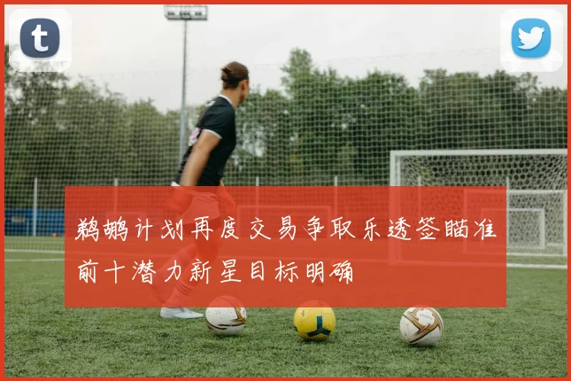 鹈鹕计划再度交易争取乐透签瞄准前十潜力新星目标明确